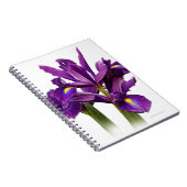 オランダ素晴らしアイリスパープルセンシションフラワー ノートブック (右側)