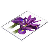 オランダ素晴らしアイリスパープルセンシションフラワー ノートブック (左側)