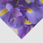 オランダ虹彩花束 薄葉紙 (詳細)