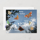 オランダ蝶の名前はがき ポストカード (正面/裏面)