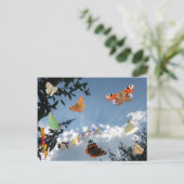 オランダ蝶ハッピーバースデー葉書 ポストカード (スタンド正面)