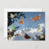 オランダ蝶ハッピーバースデー葉書 ポストカード (正面/裏面)