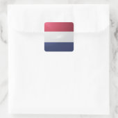 オランダ角光沢フラグ スクエアシール (バッグ)