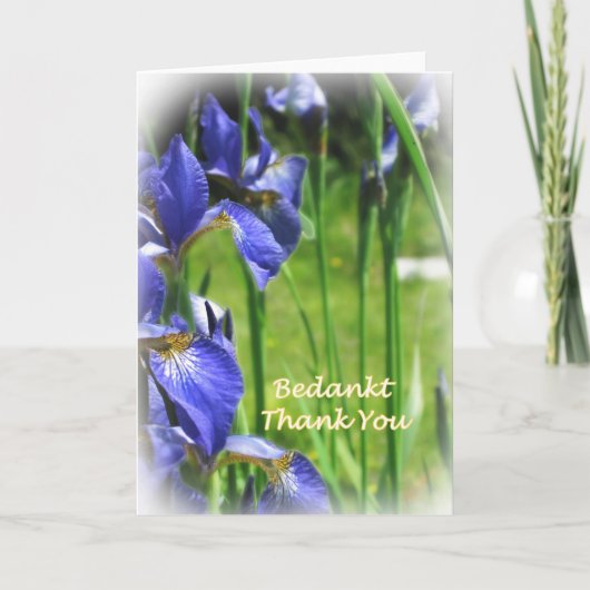 オランダ語および英語のありがとう サンキューカード (正面)