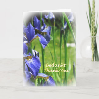 オランダ語および英語のありがとう サンキューカード