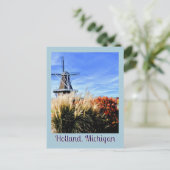 オランダ風車観賞草、花 ポストカード (スタンド正面)