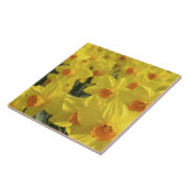 オランダ、オランダ、リスセ、ケウケンホフ公園 タイル (側面)