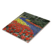 オランダ，オランダ，リス，ケウケンホフガーデンズ タイル (側面)