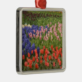 オランダ、オランダ)、リス。慶元ホフ9 メタルオーナメント (右)