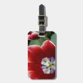 オランダ（オランダ）、リス。慶遠府3 ラゲッジタグ (正面縦)