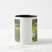 オランダ、オランダ)、リス。慶遠府5 マグカップ (中央)