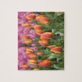 オランダ（オランダ）、リス。慶長府 ジグソーパズル (縦)