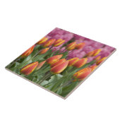 オランダ（オランダ）、リス。慶長府 タイル (側面)