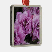 オランダ（オランダ）、リス。毛前ホフ2 メタルオーナメント (右)