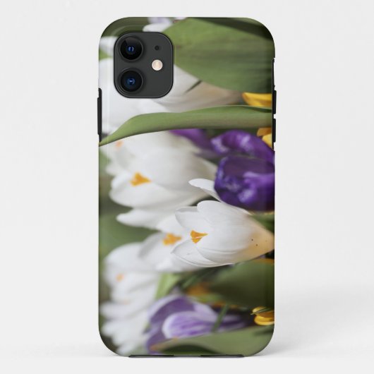 オランダ、キューケンホフ庭園、チューリップ Case-Mate iPhoneケース (裏面)