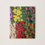 オランダ、ケウケンホフガーデン、チューリップ。 ジグソーパズル (縦)