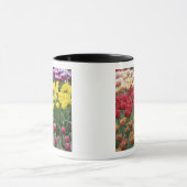 オランダ、ケウケンホフガーデン、チューリップ。 マグカップ (中央)