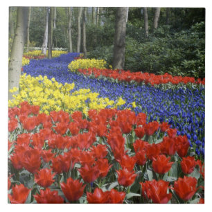 オランダ、ホラント、リッセ、キュッケンホフ庭園 タイル