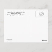 オランダ ポストカード (裏面)