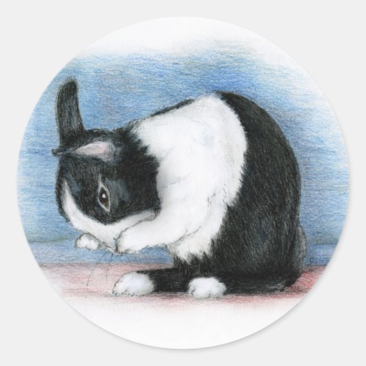 オランダ ラウンドシール (正面)