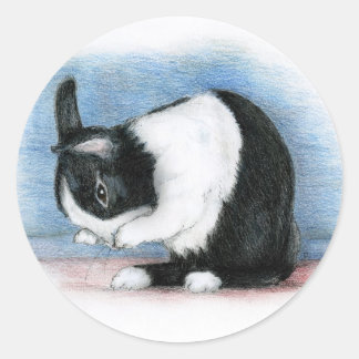 オランダ ラウンドシール