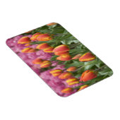 オランダ（別名オランダ）、リッセ。ケウケンホフ マグネット (右側)