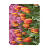 オランダ（別名オランダ）、リッセ。ケウケンホフ マグネット (縦)