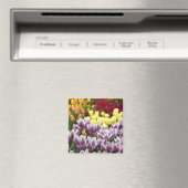 オランダ（別名：ホランド）、リス、[Keukenhof 3] マグネット (インサイチュ (食洗機))
