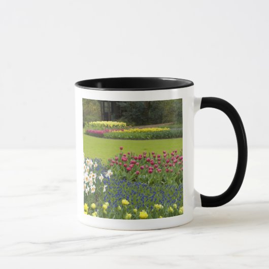 オランダ（別名：ホランド）、リス、[Keukenhof 5] マグカップ (右)