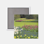 オランダ（別名：ホランド）、リス、[Keukenhof 5] マグネット (正面/裏面)