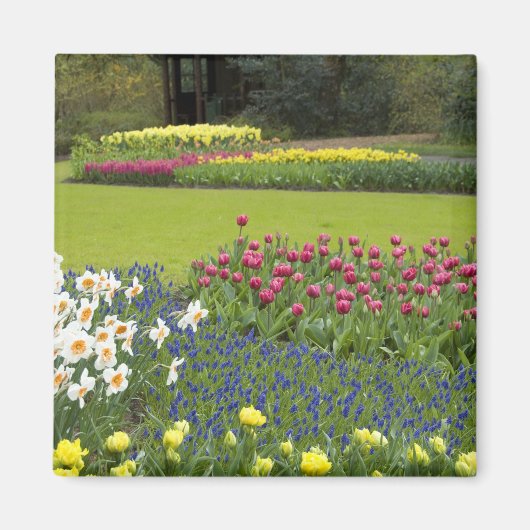 オランダ（別名：ホランド）、リス、[Keukenhof 5] マグネット (正面)