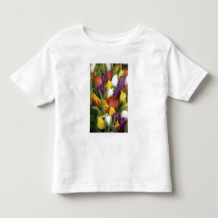 オランダ, 南ホラント州, アムステルダム トドラーTシャツ