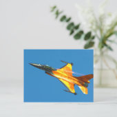 オランダF-16戦闘《鳥》ハヤブサジェット機 ポストカード (スタンド正面)