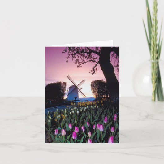 オランダNotecardsの日没のオランダの風車 カード (正面)