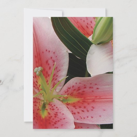 オリエエレガントンライズウェディング日付を保存 セーブザデート (裏面)