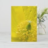 オリエンタルイエローポピー サンキューカード (スタンド正面)