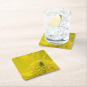 オリエンタルイエローポピー スクエアペーパーコースター (インサイチュ)