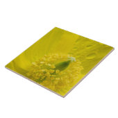 オリエンタルイエローポピー タイル (側面)