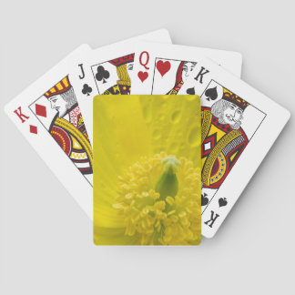 オリエンタルイエローポピー トランプ