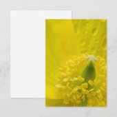 オリエンタルイエローポピー 招待状 (正面/裏面)