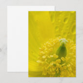 オリエンタルイエローポピー 招待状 (正面/裏面)
