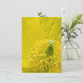 オリエンタルイエローポピー 招待状 (スタンド正面)