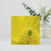 オリエンタルイエローポピー 招待状 (スタンド正面)