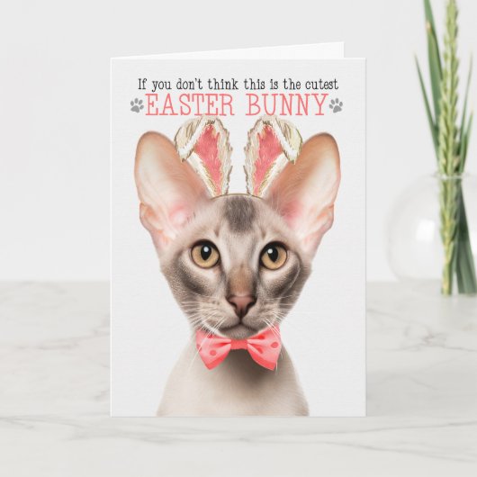 オリエンタルキャットキュテストイースターバニー子猫パン シーズンカード (正面)