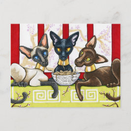 オリエンタルズ ポストカード