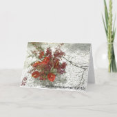 オリエンタルゼンレッドアントリアムブーケオール大事な行事 招待状 (裏面)