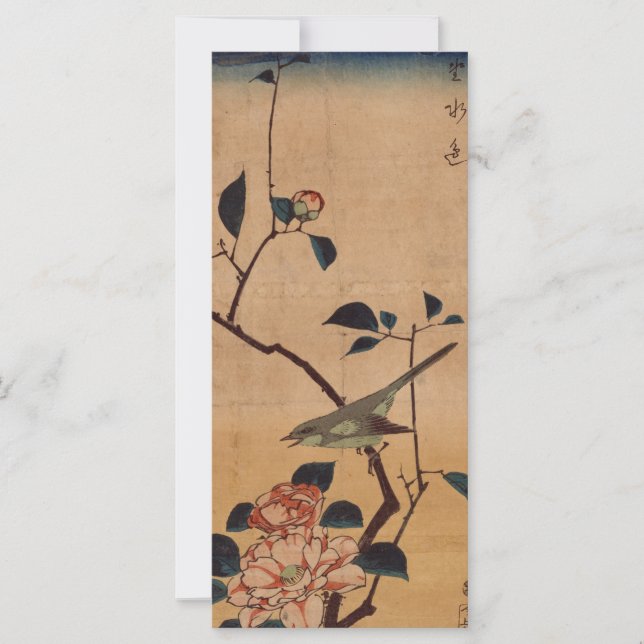 オリエンタルツバメリアとワルブラー (正面)