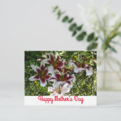 オリエンタルトランペットリリー母の日のはがき ポストカード (スタンド正面)