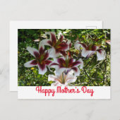 オリエンタルトランペットリリー母の日のはがき ポストカード (正面/裏面)