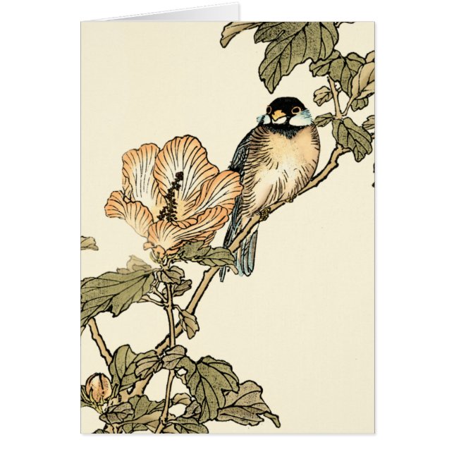 オリエンタルバード、ブランチに止まる (正面)